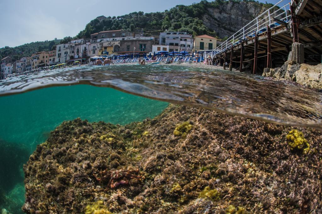 Hotel Baia Di Puolo Massa Lubrense